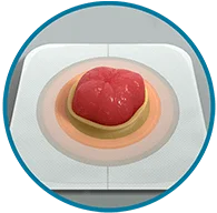 食べ物が乗った皿